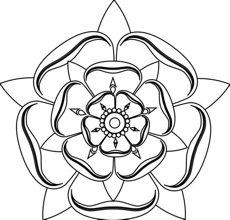 tudor rose line drawing.